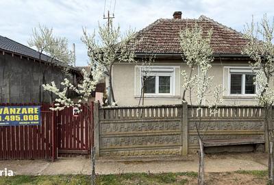 Casă cu 3 camere cu Teren 1798 Mp în Pișcolt - 8