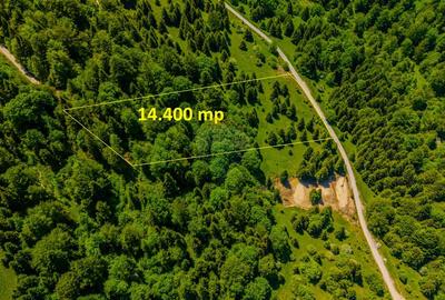 Teren extravlan 14,400mp Paraul Rece / Strada 3 brazi - 5