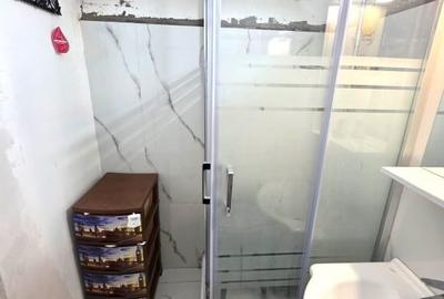 Apartament cu 3 camere decomandat în Rahova - 18