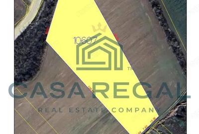 Teren extravilan Oradea, Episcopia Bihor, zona strazii Santaului - 3