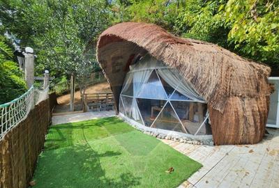 Teren extravilan de 1046 mp, în Valea Borcutului