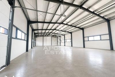 Spațiu comercial, de 430 mp, în Giarmata - 1