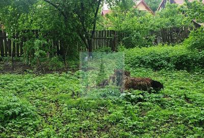 Casa batraneasca de vanzare in Tarlungeni - 9
