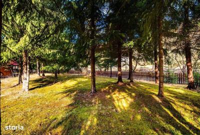 Spațiu comercial, de 300 mp, în Arieșeni - 15