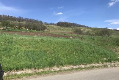 Teren intravilan, PUZ, gaz, apa, Remetea- Tg. Mures - 6