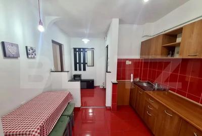 Apartament cu 2 camere semidecomandat în Grigorescu - 4