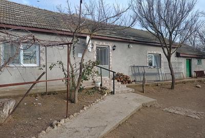 Casă cu 2 camere în Căscioarele - 1