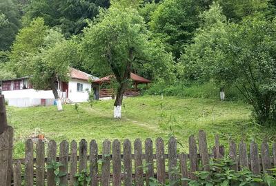 Vand Casa la munte - 8