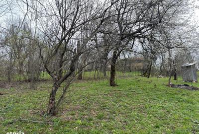 Spațiu comercial, în Șotrile - 12