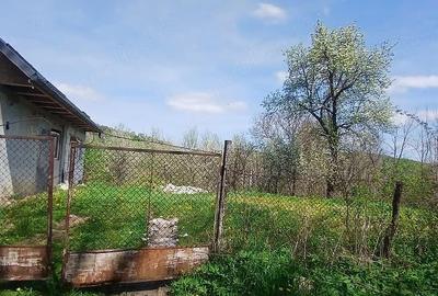 Casă cu Teren 8000 Mp în Mădăraș - 9