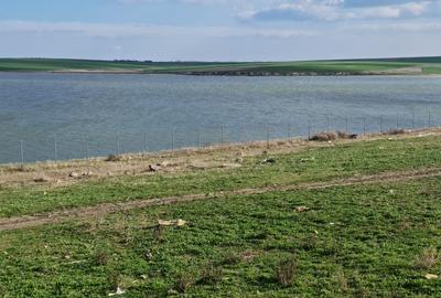 Teren de vanzare in Techirghiol primul rand la lac Teren de vanzare in Techirghiol primul rand la lac - 7