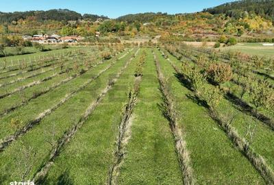 Spațiu comercial, în Aușeu - 11