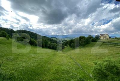 Casa cu potential turistic, 380 mp, FUNDATA - 11