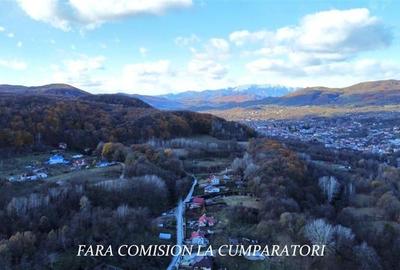 Teren agricol extravilan de 21437 mp, în Vlădesti - 6