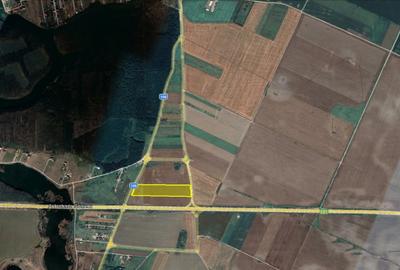 Teren Intravilan Constructii de 12.300 mp, Cu Deschidere la Sosea Asfaltata - 5