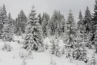 Teren de 1500 mp, în Mărișel - 5