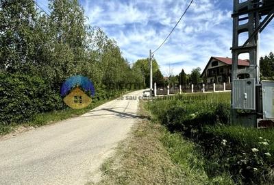 Teren Construcții intravilan de 3580 mp, în Viișoara
