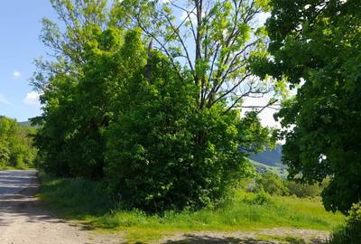 Teren intravilan, in Rimetea, suprafete intre 1000 - 10000 mp - 5