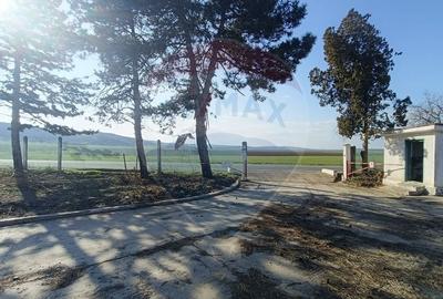 Spațiu industrial, de 5,000 mp, în Niculițel - 11