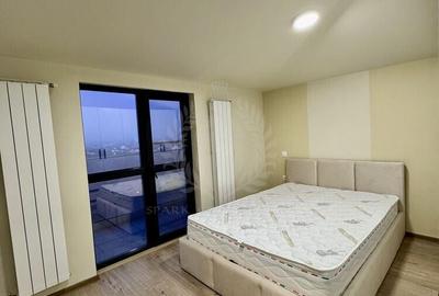 Apartament cu 3 camere decomandat, mobilat în Gheorghe Doja - 4