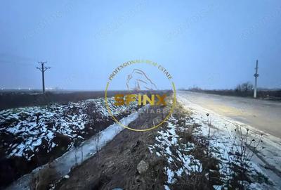 Teren de 14500 mp, în Bolintin-Deal - 4