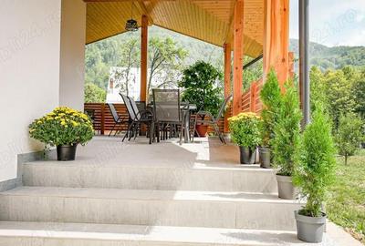 Casă cu 5 camere în Valea Doftanei - 2