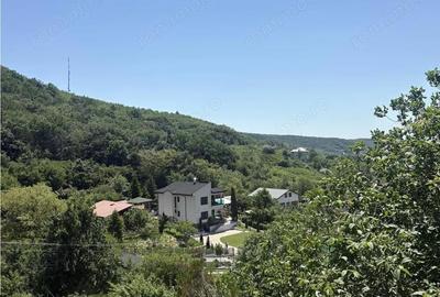 Casă cu 12 camere cu Teren 2000 Mp în Sărata - 7