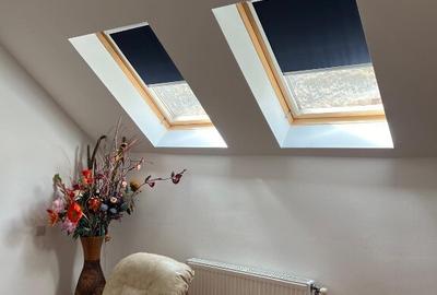 3 Spatii comerciale si un apartament la mansarda central - 3