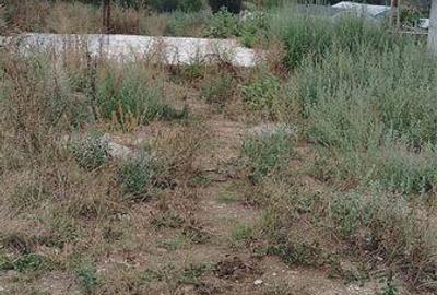 Teren de 2500 mp, în Vânătorii Mici