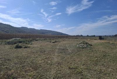 Teren de 8700 mp, în Livada (Iclod) - 3