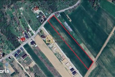 Teren de 8632 mp, în Podgoria - 2