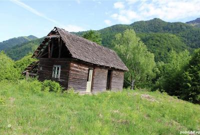 Teren în Malaia - 5