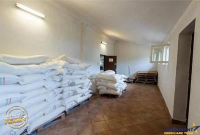 Spatiu comercial+afacere functionala: brutarie,rute de distributie,Ghelinta - 19