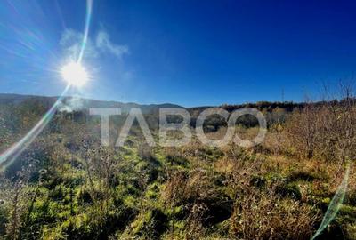 Investitie imobiliara Teren 14100 mp cu PUZ si PUD aprobat i Investitie imobiliara Teren 14100 mp cu PUZ si PUD aprobat i - 3