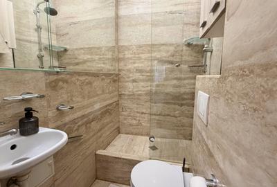 Apartament cu 3 camere decomandat, mobilat în P-ța Unirii - 5