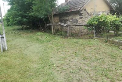 Ag BRASADAS vinde casa LOCUIBILA 3 cam teren 5.000 mp HOREA. - 6