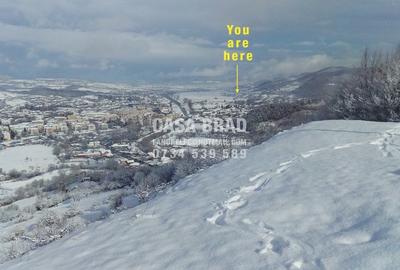 Casa mare cu ~4000mp teren plat, in zona verde, linistita, in orasul Brad, HD - 3