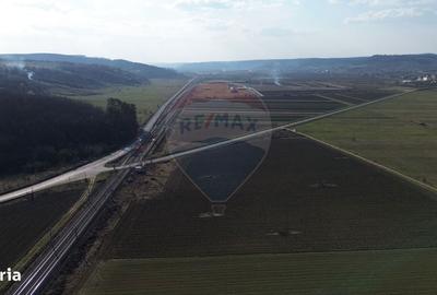 Spațiu comercial, în Laslea - 12