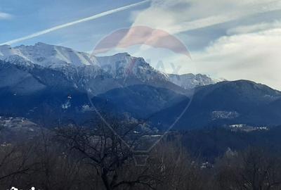 Teren de 10279 mp, în Bran - 4