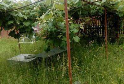 Casă cu 3 camere cu Teren 100 Mp în Mălureni - 6