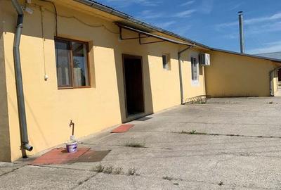 Spațiu comercial, de 3,150 mp, în Sebiș - 2