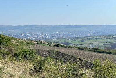 Teren extravilan de vanzare, 16810 mp, zona Valea Chintaului - 1