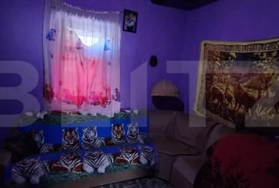 Casă cu 3 camere cu Teren 4200 Mp în Mădăras - 10
