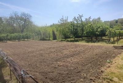 Casă cu 4 camere cu Teren 1900 Mp în Orbeni - 10