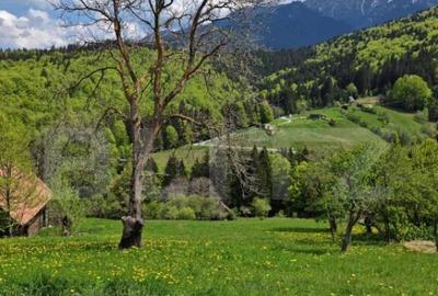 Teren intravilan 3400 mp, in Balaban - Simon, Bran - Brasov - 10