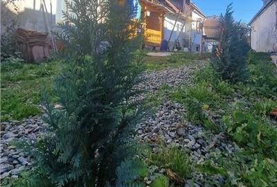 Ocazie!Oaza de liniste in satul Colun,cu 572mp ,la 40km de Sibiu Ocazie!Oaza de liniste in satul Colun,cu 572mp ,la 40km de Sibiu - 17