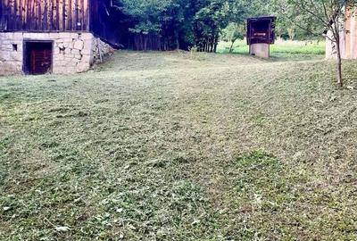 Casă cu 3 camere cu Teren 3800 Mp în Dobrin - 2