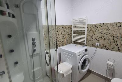 Str. Victoriei (tronson Marul de Aur Valea Borcutului)-ap. 2 camere, cu gradina, in bloc tip vila - 9