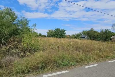 Teren intravilan 2.179 mp – Chițoiu (Chiroiu-Pământeni), IL - 6