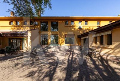 Proprietate Unica in Frumusani – Spatiu, Eleganta si Potential - 2